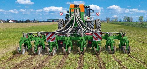 Strip till bij Amazone