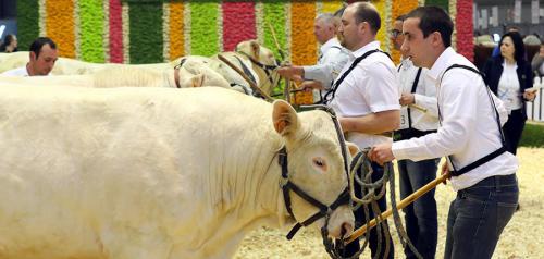 SIMA 2019