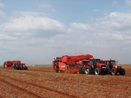 Zuid-Afrika maakt kennis met de eerste Dewulf aardappelrooiers