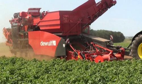 Ontdek Dewulf op Potato Europe