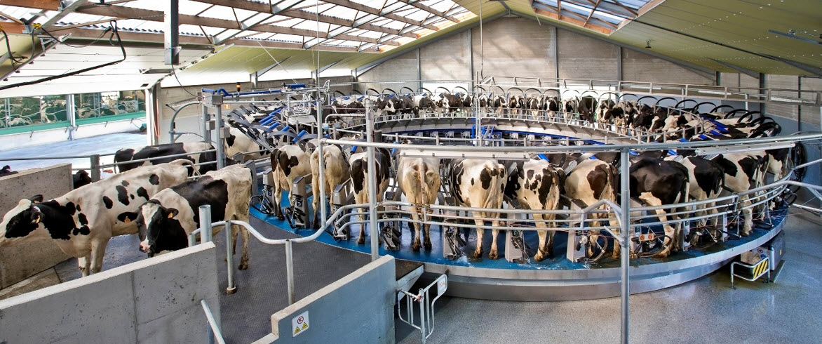DeLaval lanceert nieuwe E300 draaistal in de Benelux