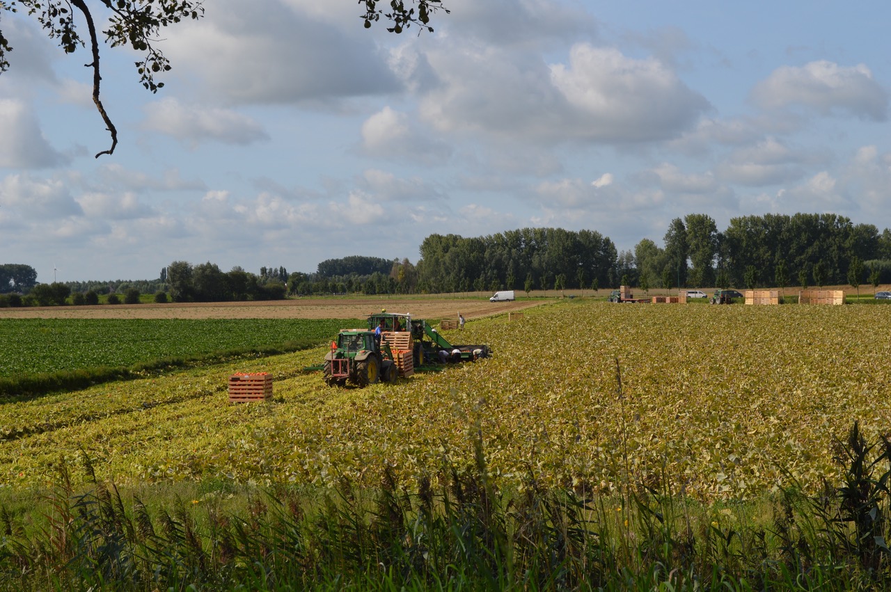 Met het rijpadensysteem zijn wij vrij uniek in België
