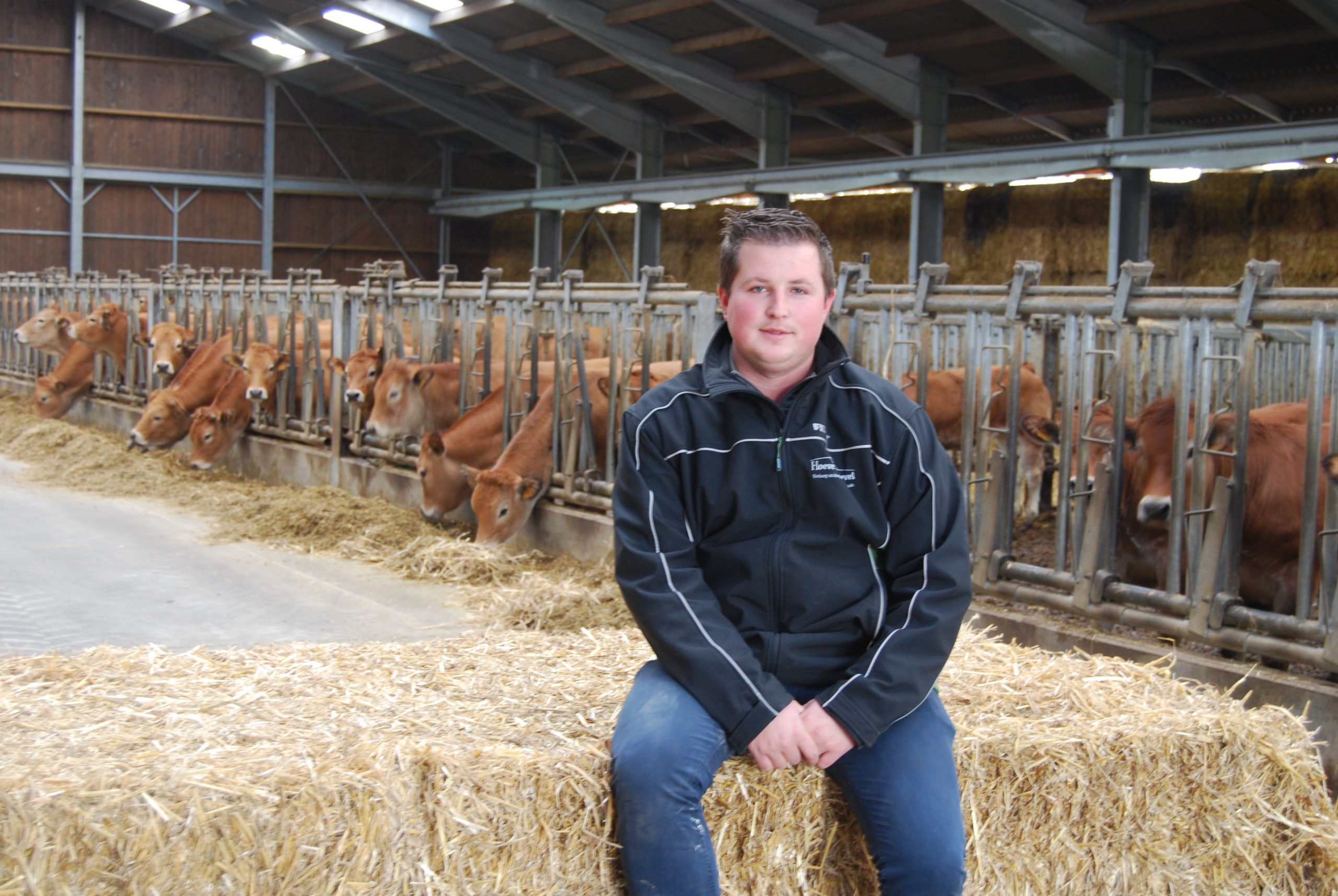 A Neerpelt, Hoeve De Heuvel mise entièrement sur la Parthenaise