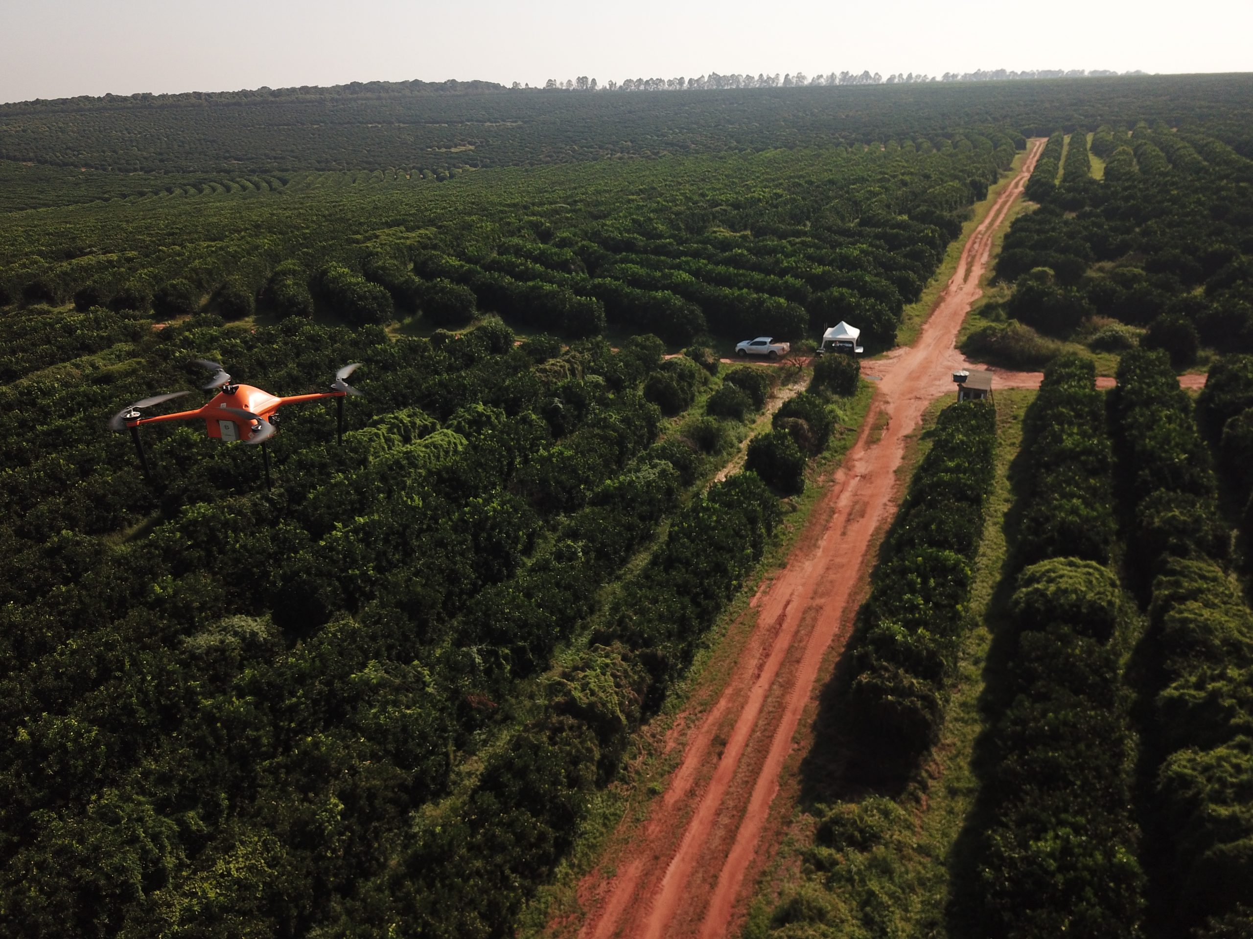 Kubota investit dans SeeTree, un leader technologique dans le domaine de la surveillance de la santé des arbres