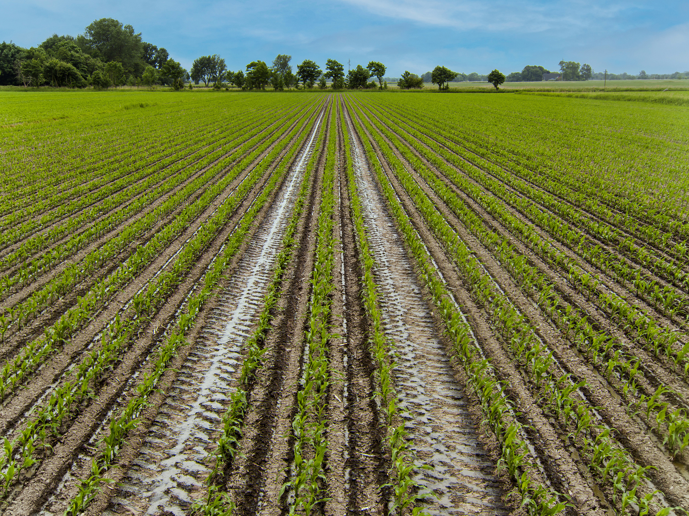 LEMKEN komt met een online configurator voor de Azurit 9-zaaimachine