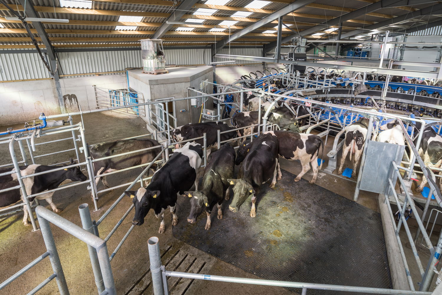 DELAVAL BENELUX LANCEERT NIEUWE E100™ DRAAISTAL