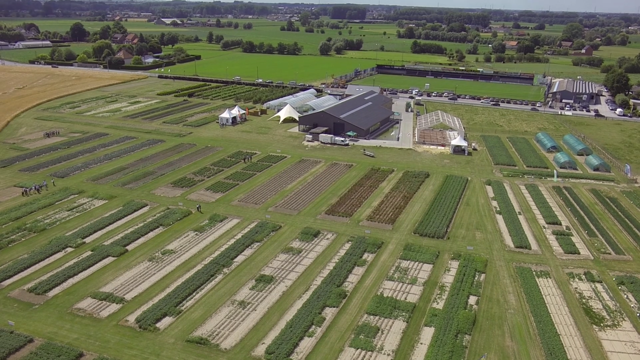 Mitsui & Co, Ltd. kondigt de oprichting aan van een nieuwe vennootschap, Certis Belchim B.V.