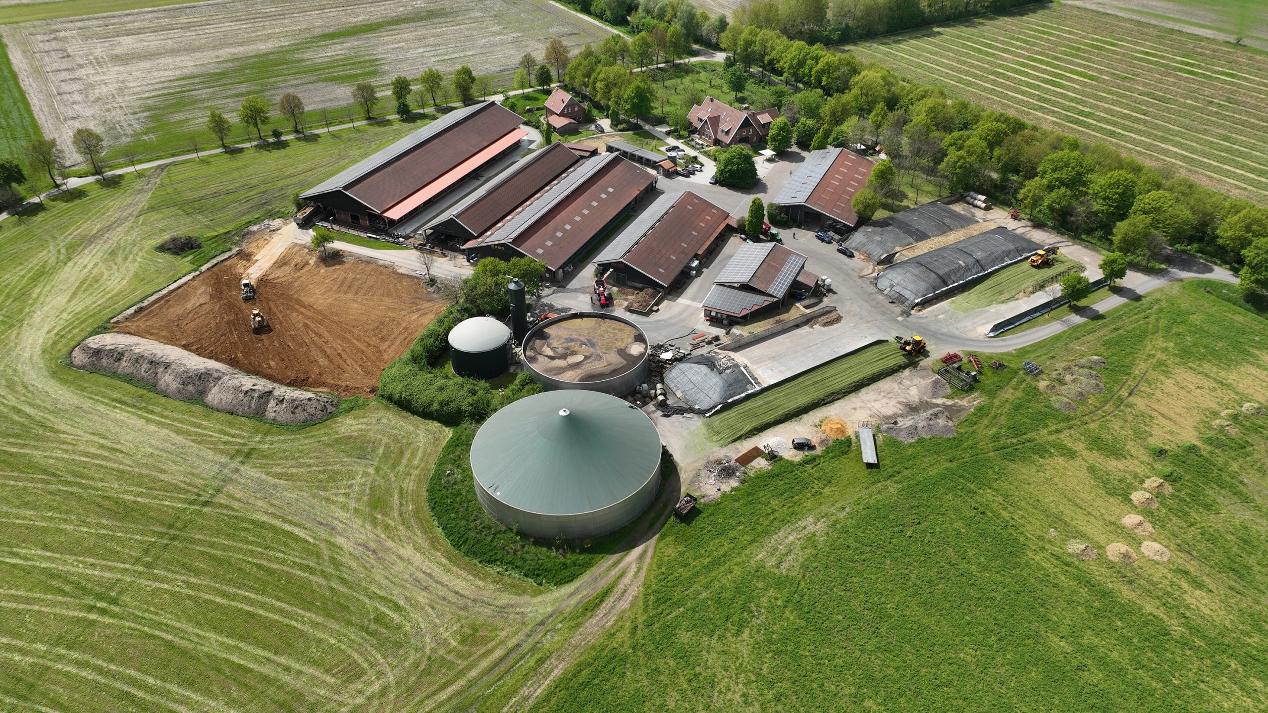 Du lait produit à faible empreinte CO2