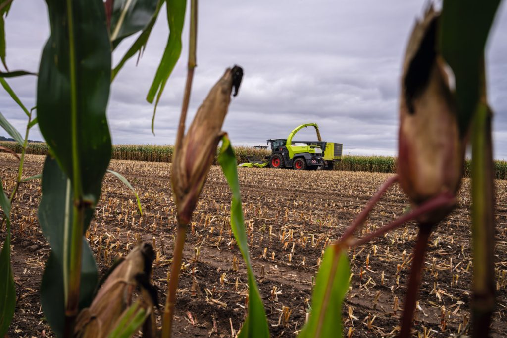 Claas lanceert Jaguar 1000-veldhakselaars