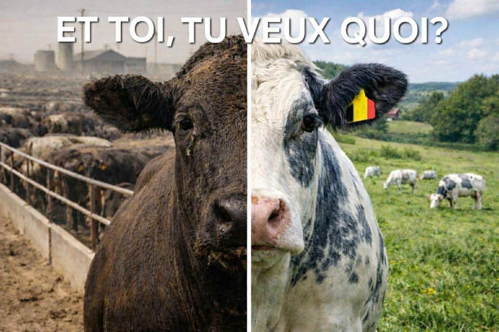 Mercosur-akkoord goedgekeurd: een zware klap voor de Europese en Belgische landbouw