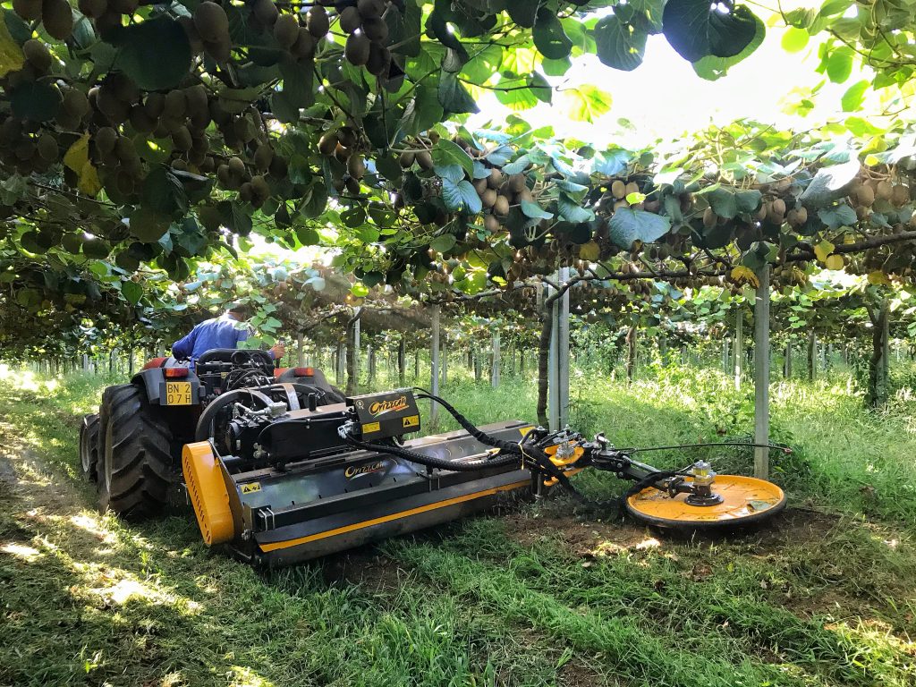Orizzonti treedt toe tot Packo Agri: een nieuwe dynamiek voor de wijn- en fruitteelt